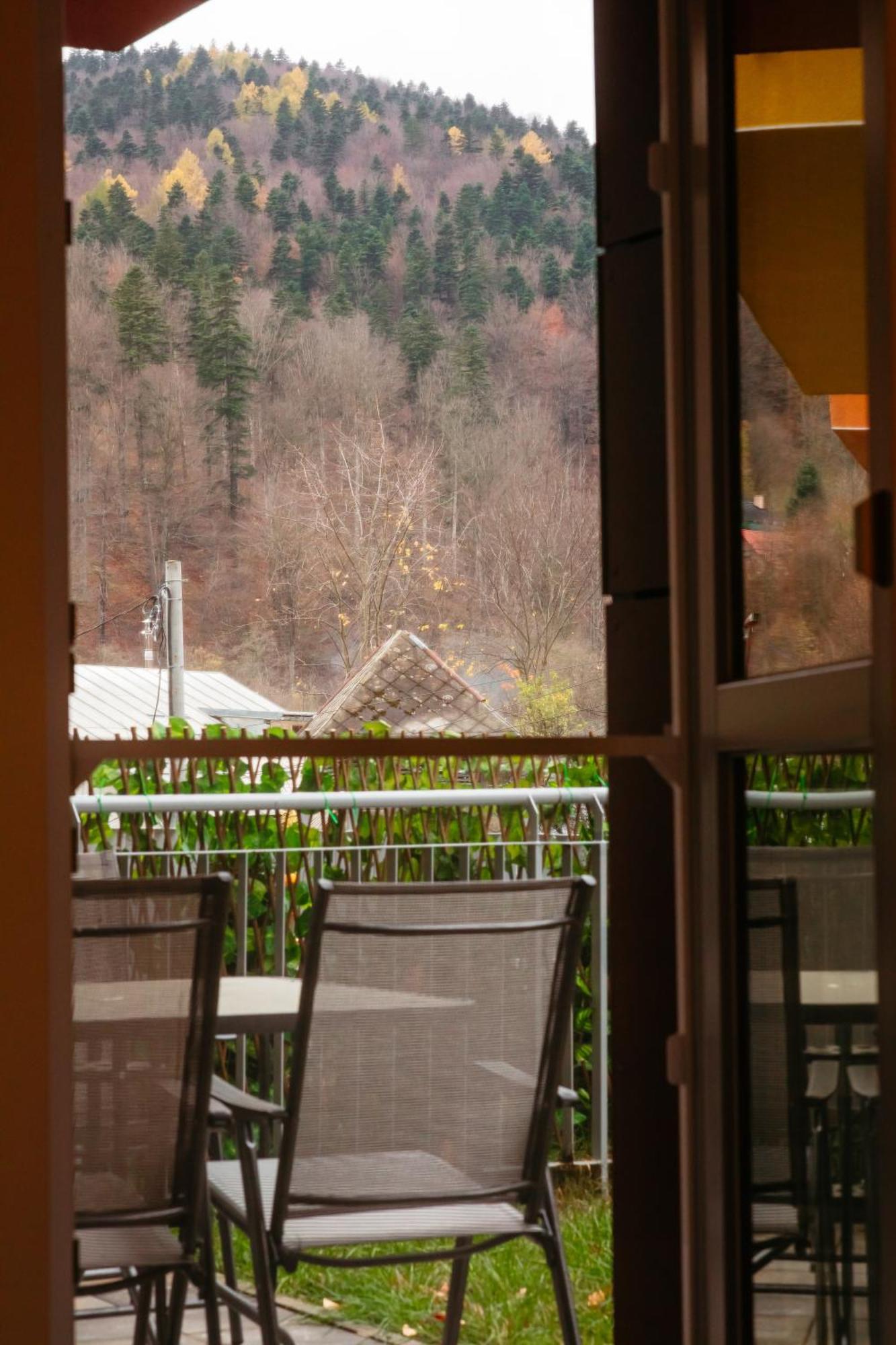 Mountain Retreat Apartment Sinaia Exterior photo